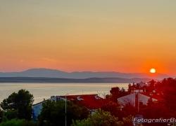IMG_8931.jpg