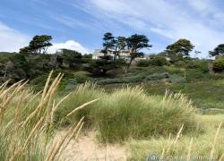 2023-07-Suedengland-IMG_9824.jpg