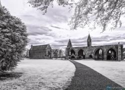 Bild: Fortrose Cathedral Infrarot / MG_9953-Fortrose-Cathedral-ir.jpg