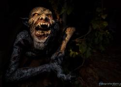 2013-Helloween-005.jpg