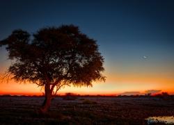 Bild:  / 324-Namibia-okukuejo.jpg