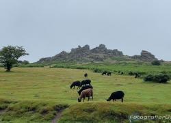 2023-07-Suedengland-IMG_E9642.jpg