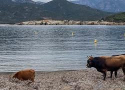 2024-09-Korsika-016.jpg