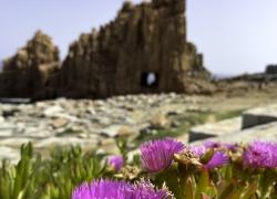 2024-05-SardinienIMG_263246.jpg