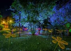 Bild: Goldschlägernacht 2014 / goldene-nacht-sc-004.jpg