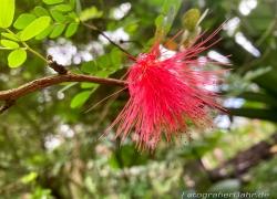 2023-07-Suedengland-IMG_6865.jpg