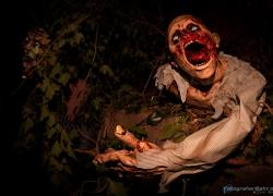 2013-Helloween-002.jpg