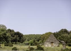 2024-05-Sardinien_68A0258.jpg