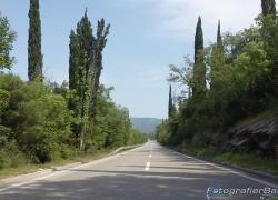 VIRB0431.jpg