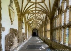 2023-07-Suedengland-IMG_0054.jpg