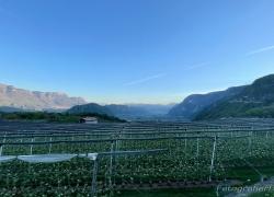 IMG_5437.jpg